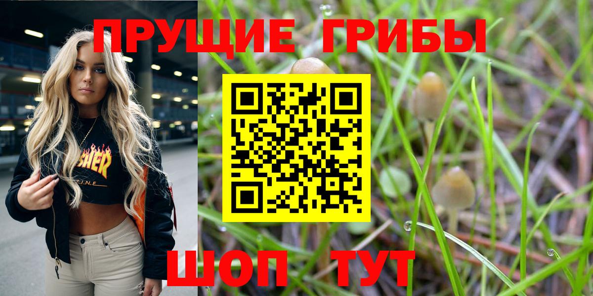купить  сайты  Вход с VPN  Горячий Ключ  Галлюциногенные грибы Cubensis 
